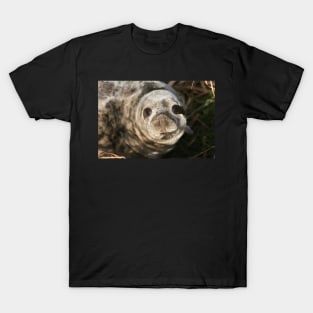 Seal T-Shirt